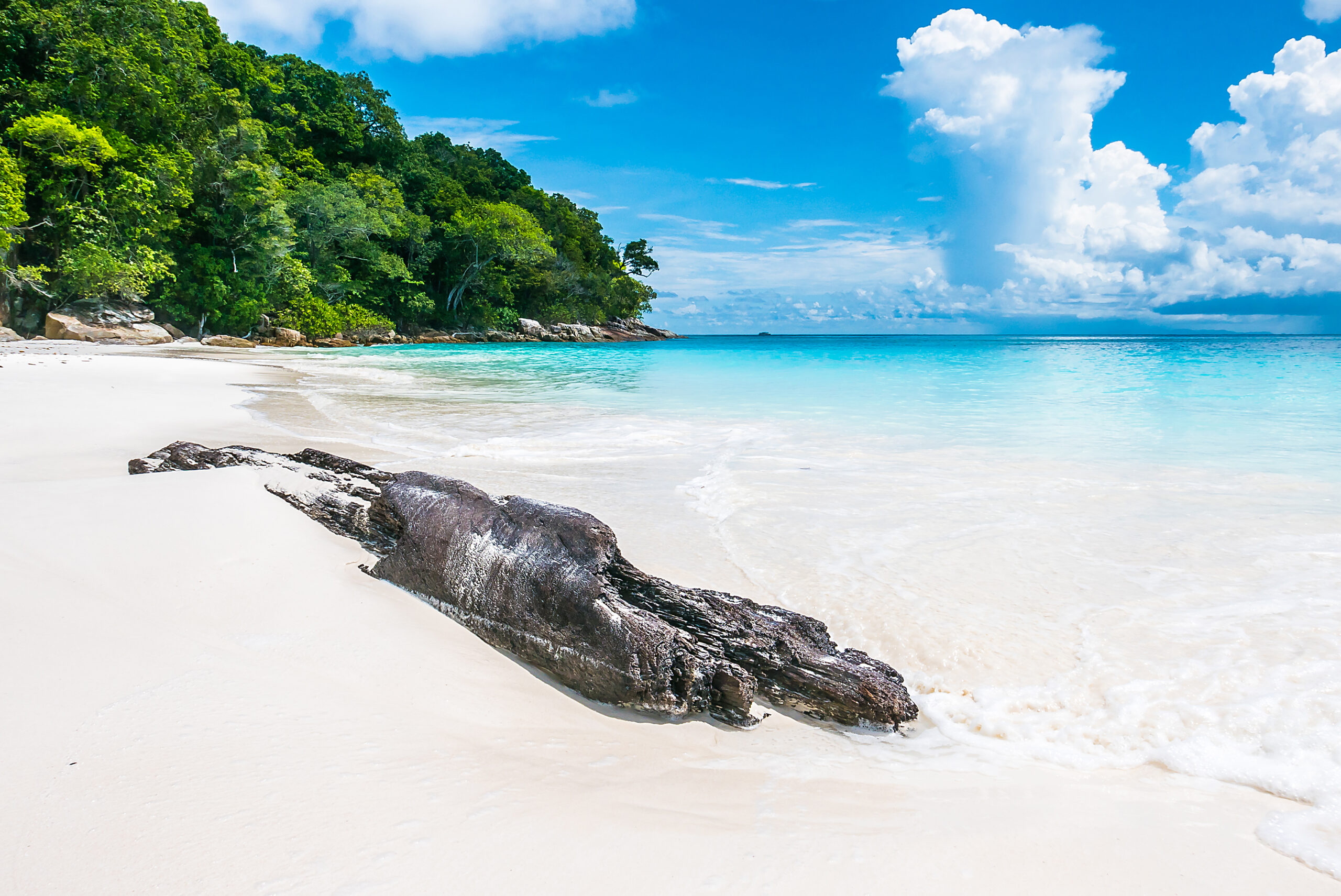 Elephant Beach Havelock Island, things to do in Elephant Beach, Havelock Island guide, Frogman Dive Center, Havelock, sea walk in Andamans, best time to visit Elephant Beach, how to reach Elephant Beach, Andaman tourism