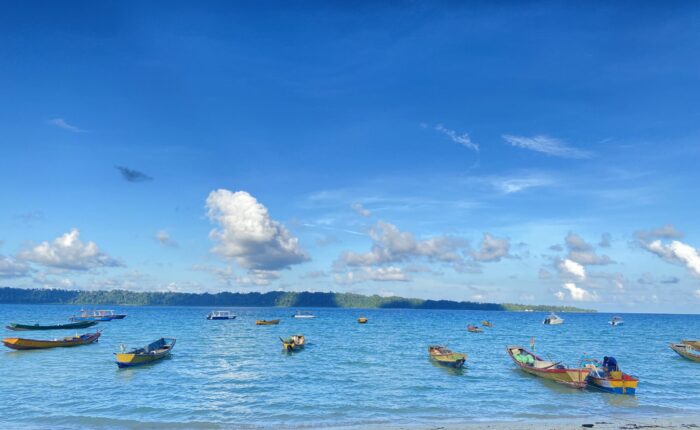 Neil Island – All You Need to Know in 2025 Andaman Islands Travel blog banner