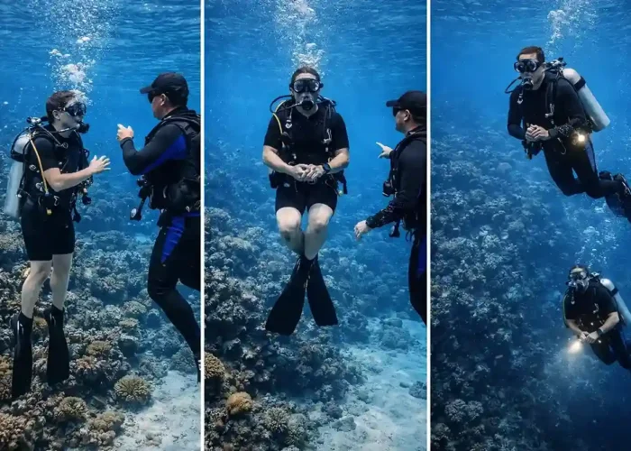 Zero to Hero scuba diving internship students at Frogman Havelock