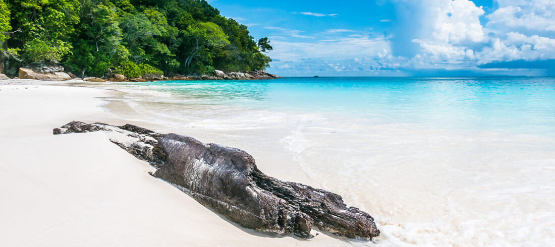 Elephant Beach (Havelock Island) – Things To Do & Complete Guide 2025 blog banner