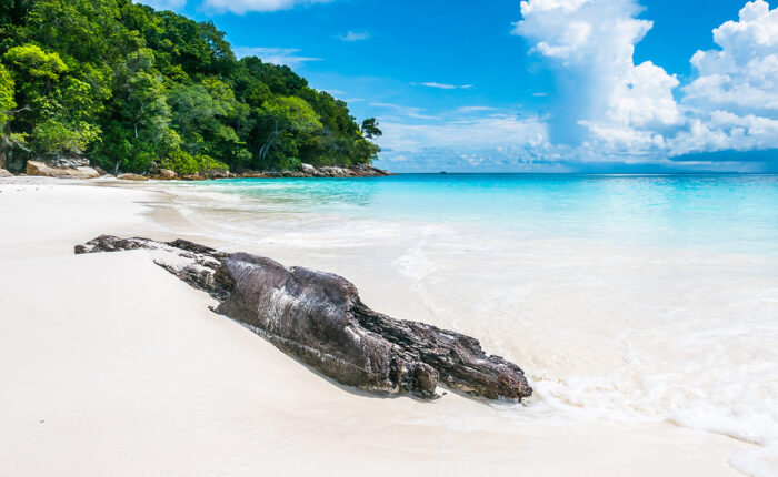 Elephant Beach (Havelock Island) – Things To Do & Complete Guide 2025 blog banner