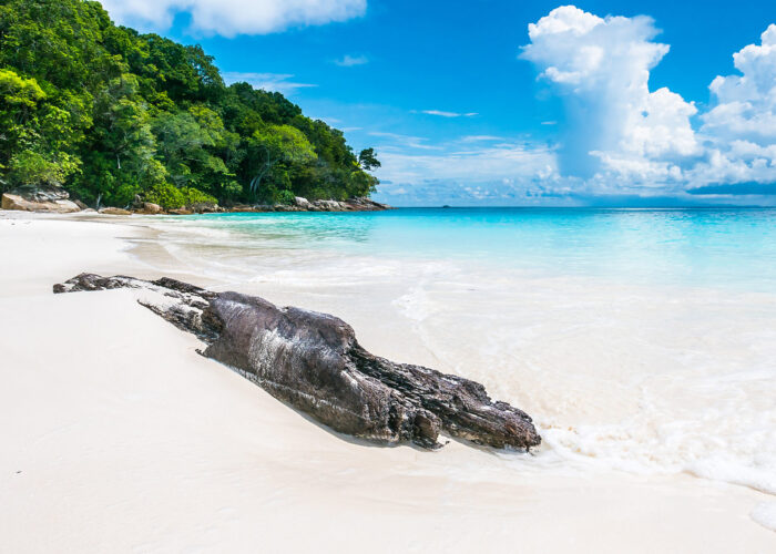 Elephant Beach (Havelock Island) – Things To Do & Complete Guide 2025 blog banner
