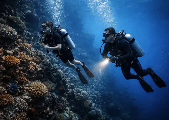 PADI Advanced Open Water divers exploring deep reef in Andaman