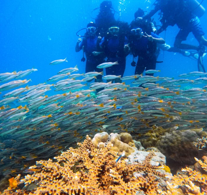 Diver on a RAID Advanced 35 dive at Havelock