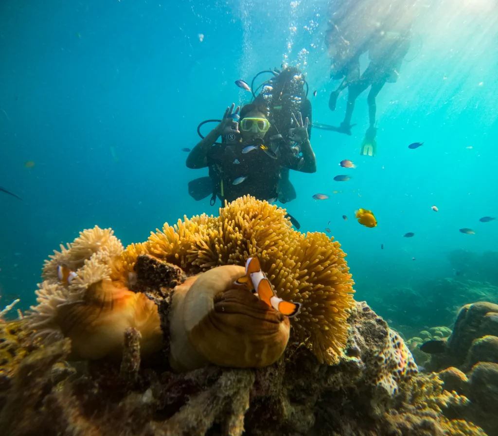 Speedboat scuba diving trip to reef sites in Havelock Island, Andaman