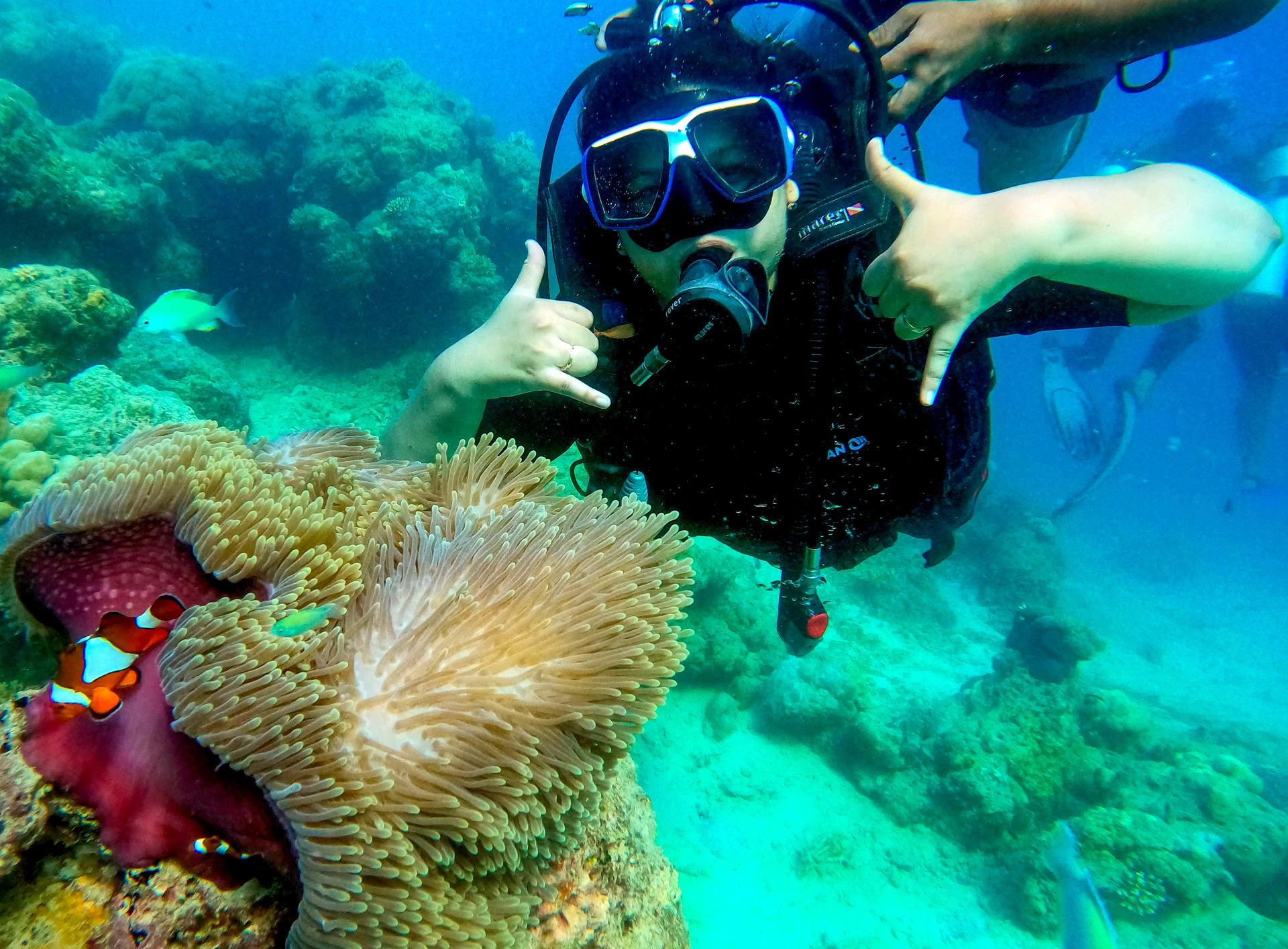 Coral Reef Andaman