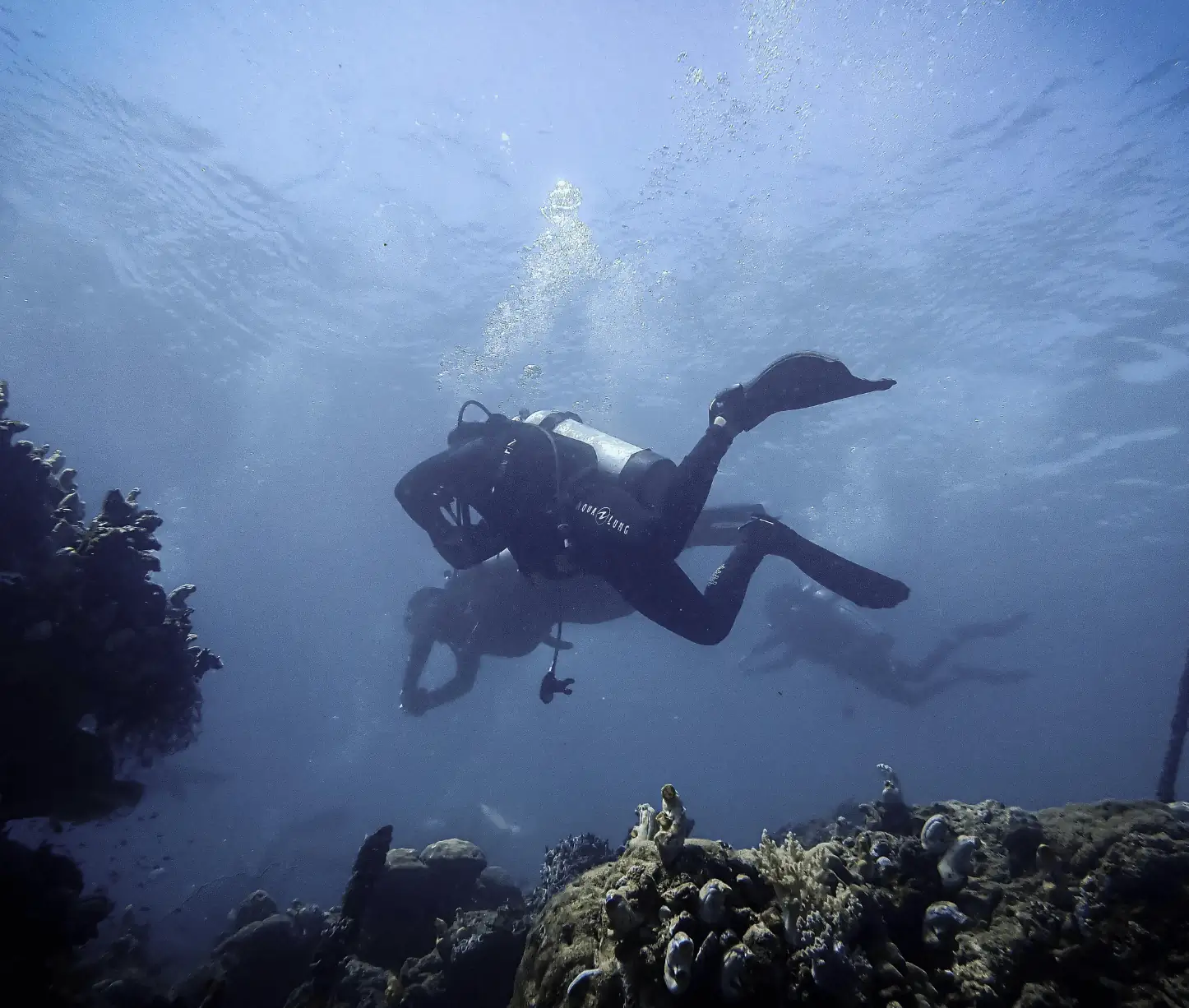 diver exploring the haunting bow section