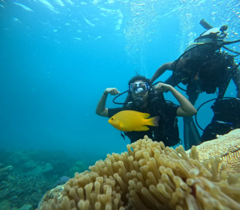 Diver gliding over healthy coral in the Andaman Sea