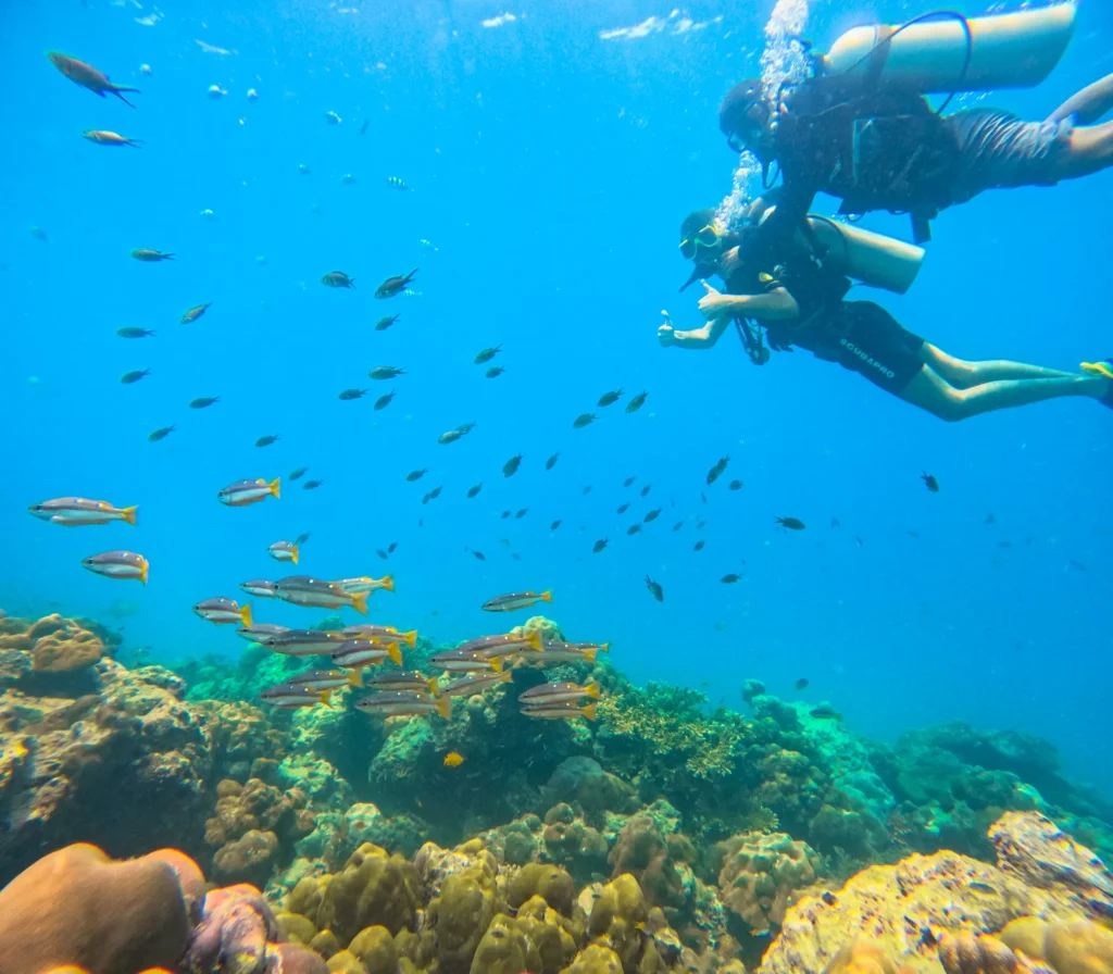 Scuba divers on boat trip to reef in the Andaman Sea, Havelock Island