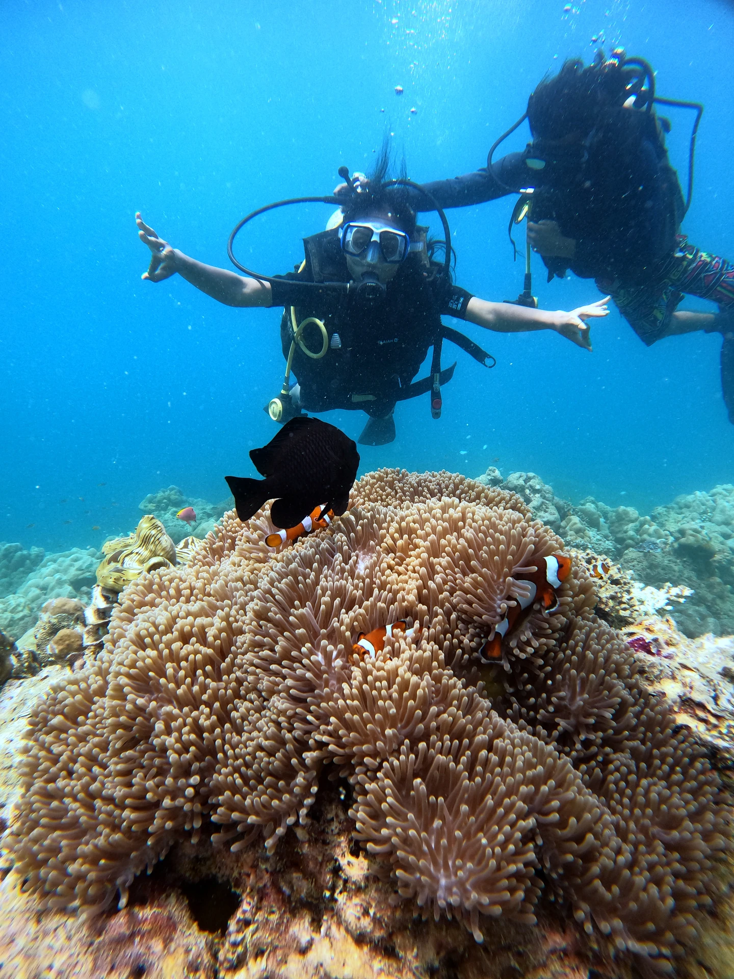 Certification Andaman