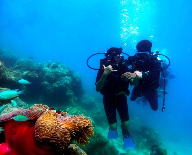 Colourful tropical fish swimming around a Havelock reef