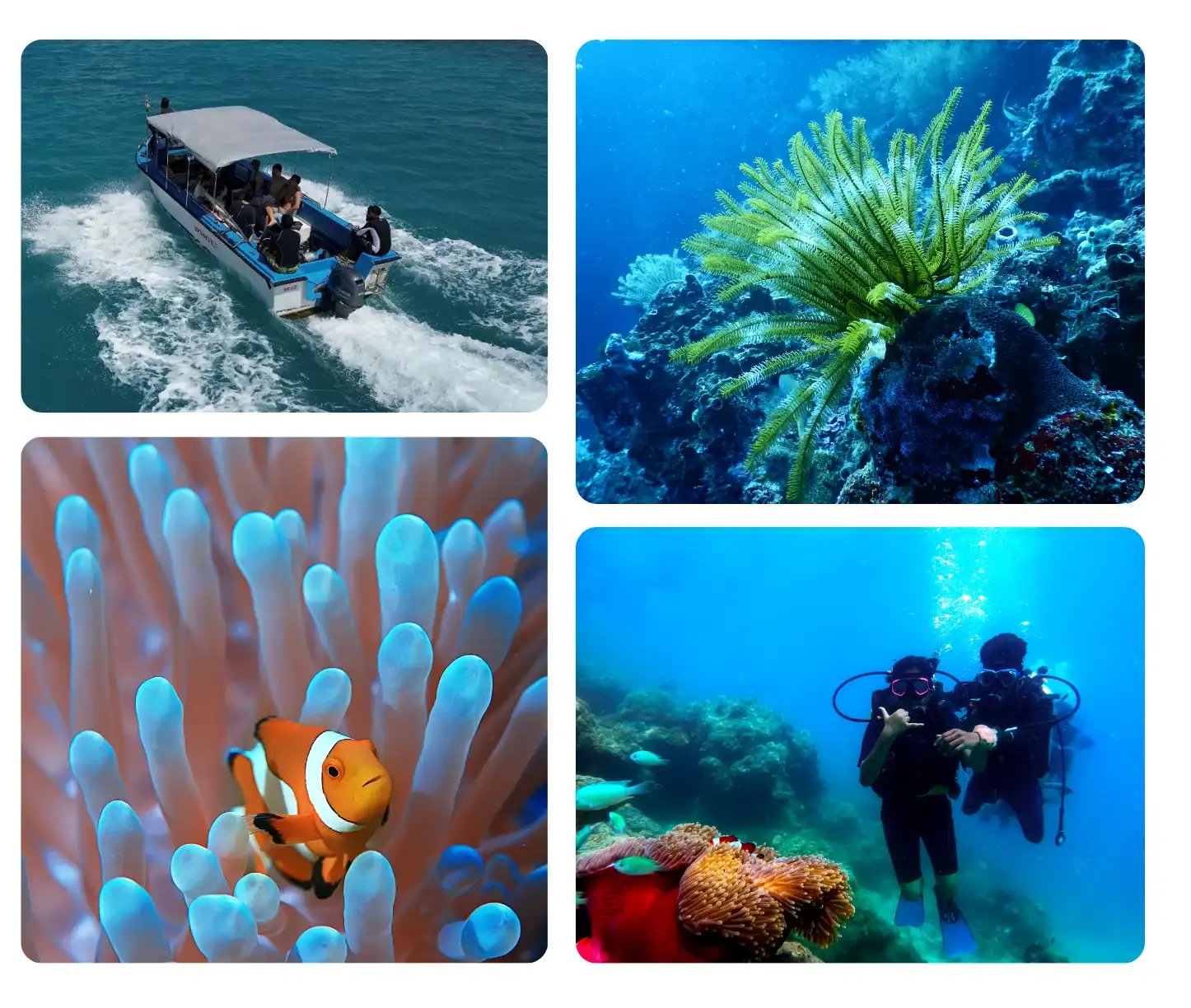 Crystal clear waters of Andaman Islands perfect for scuba diving adventures