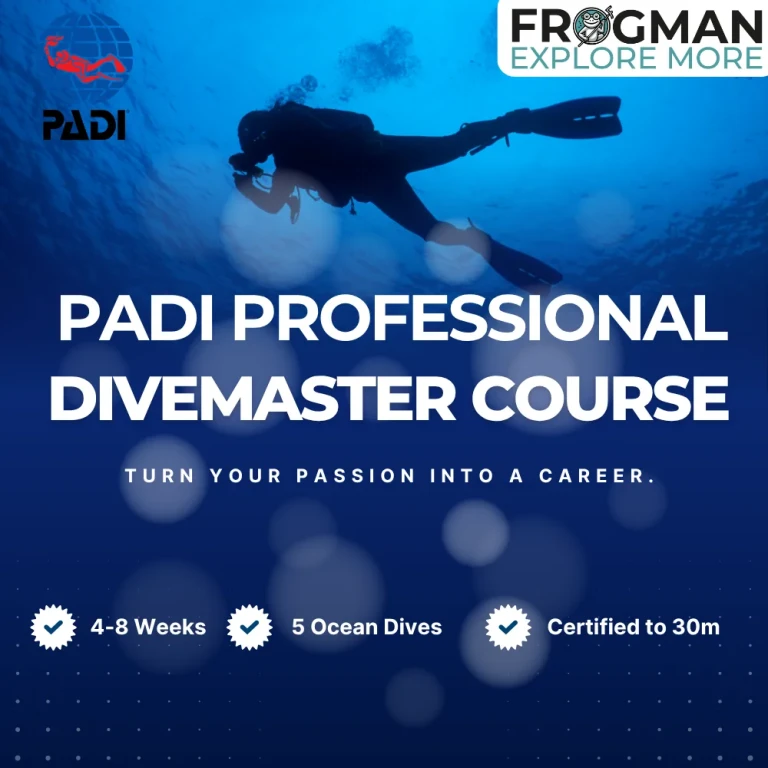 PADI Divemaster Course in Andaman – Professional Internship