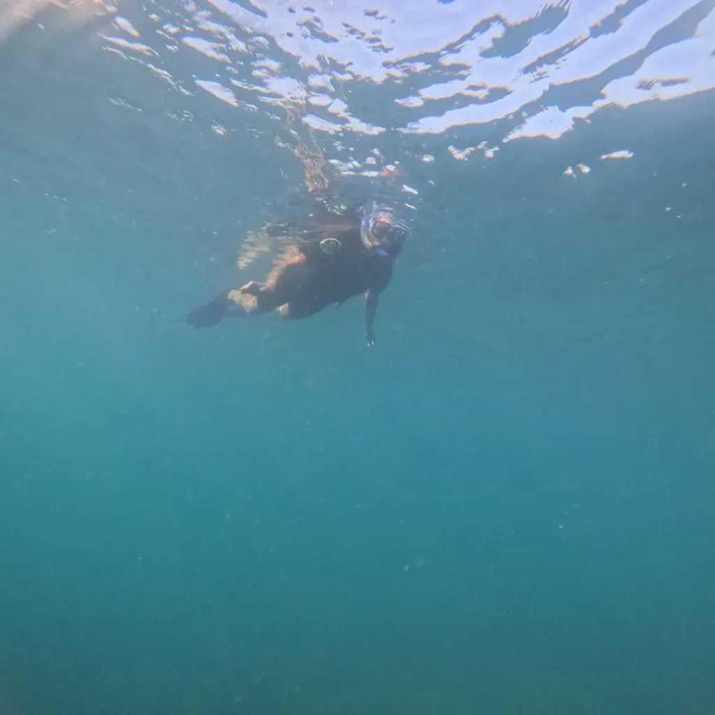 Snorkeller swimming in blue water, snorkelling in Havelock Island