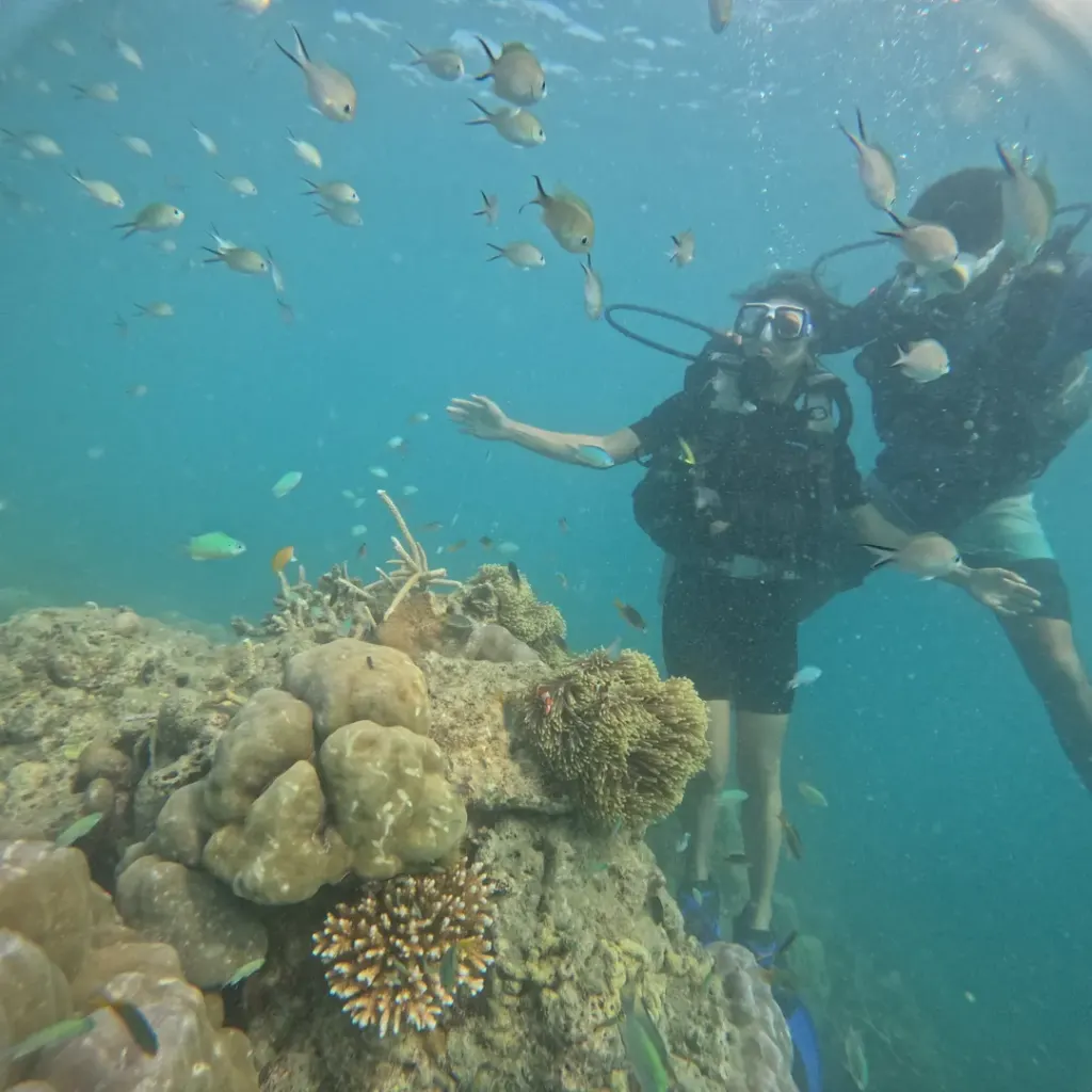 Diver and instructor above coral with many small reef fish, scuba diving in Havelock Island