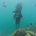 Diver above a coral head with reef fish swimming past, scuba diving in Havelock Island