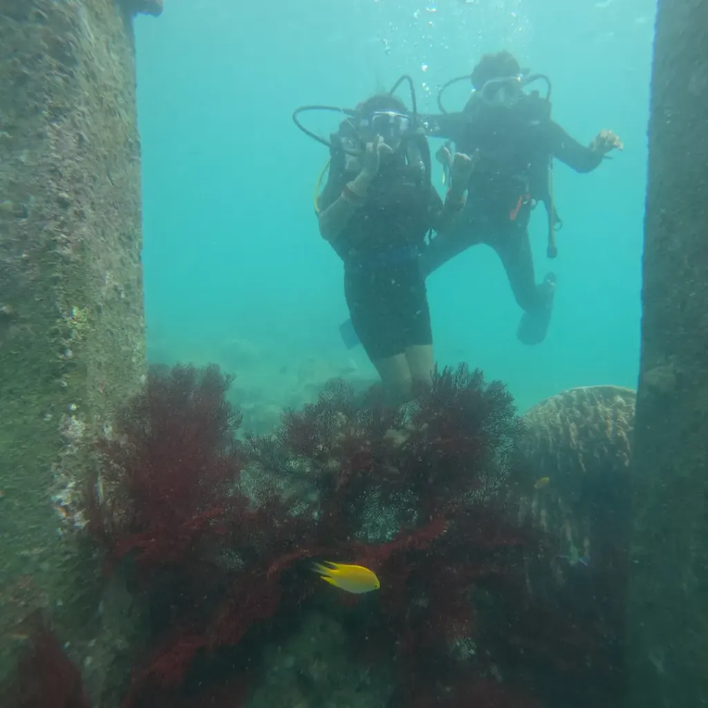 Two divers between old pillars with red sea fans below, Red Pillar scuba diving, Havelock Island