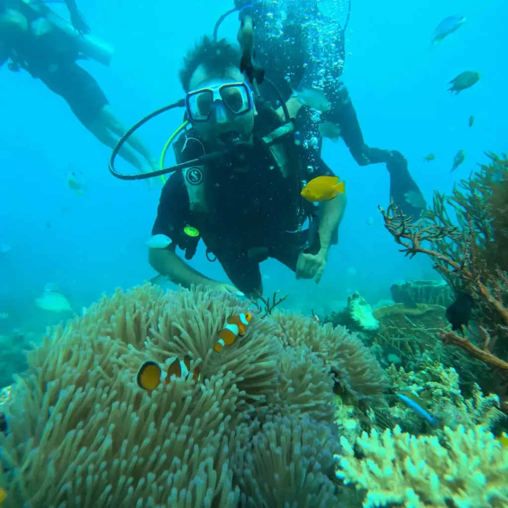 Diver above an anemone with clownfish in clear blue water, Lighthouse scuba diving, Havelock Island