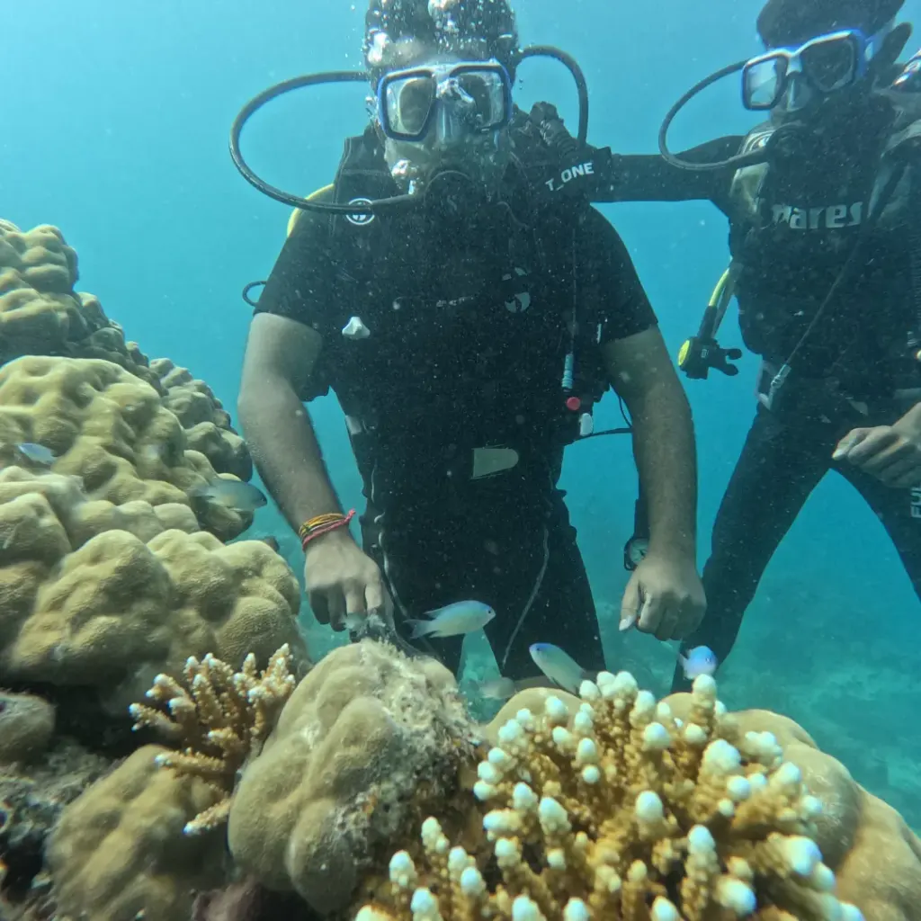 Two divers standing behind potato coral and branching coral, Lighthouse scuba diving, Havelock Island