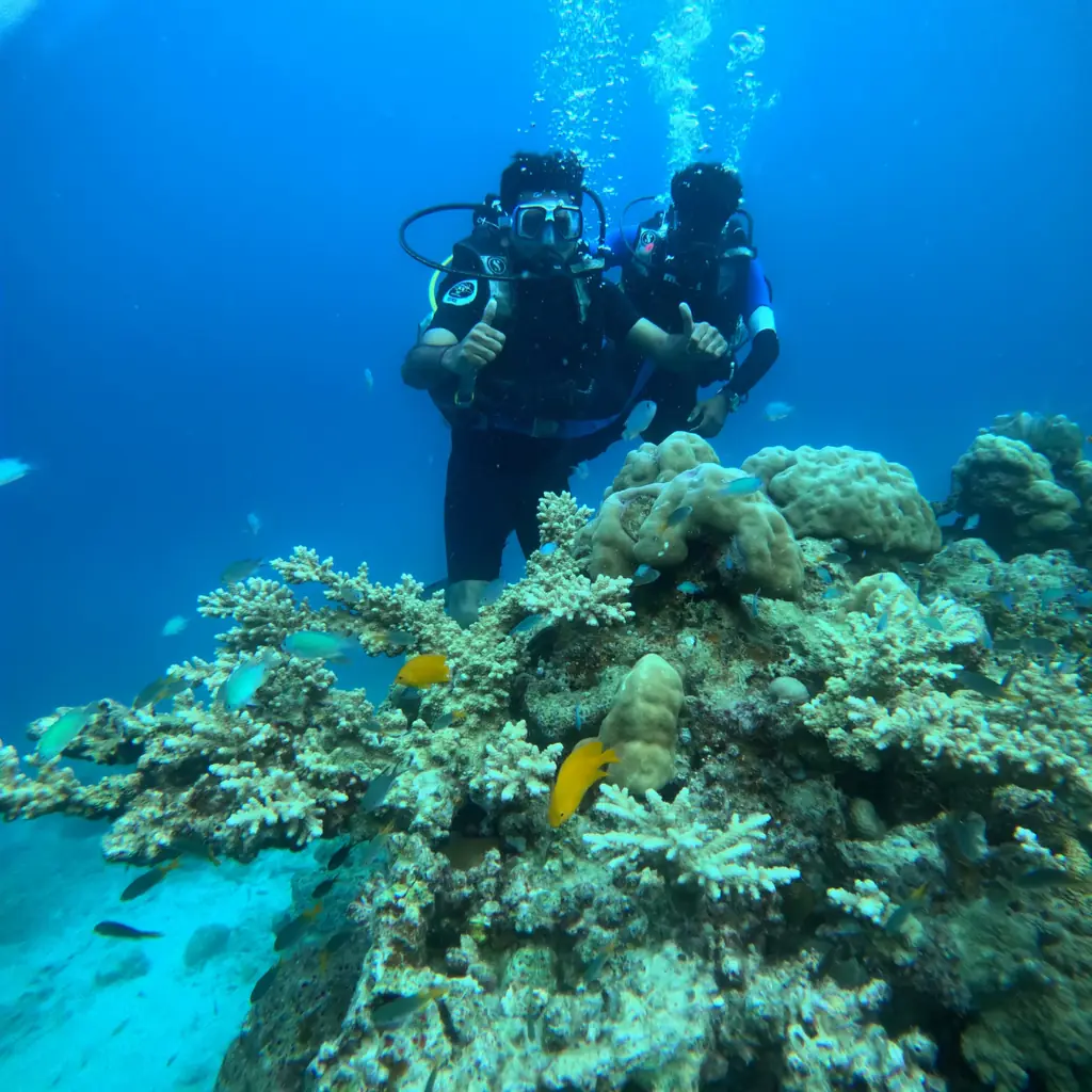 Two divers above a coral garden while boat diving in Havelock Island