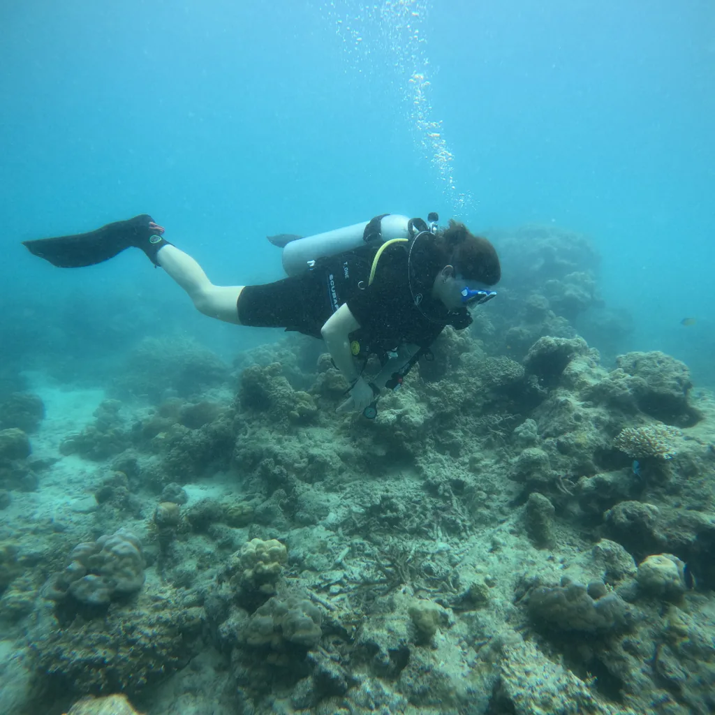 Beginner diver over a coral reef on a boat dive in Havelock