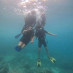 Group of divers just below the surface, RAID Divemaster course in Havelock, Andaman