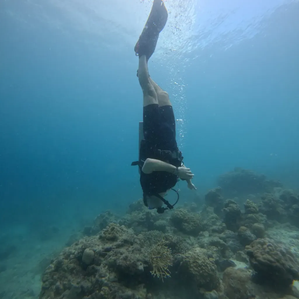 Diver descending head first towards the reef, fun diving in Havelock Island