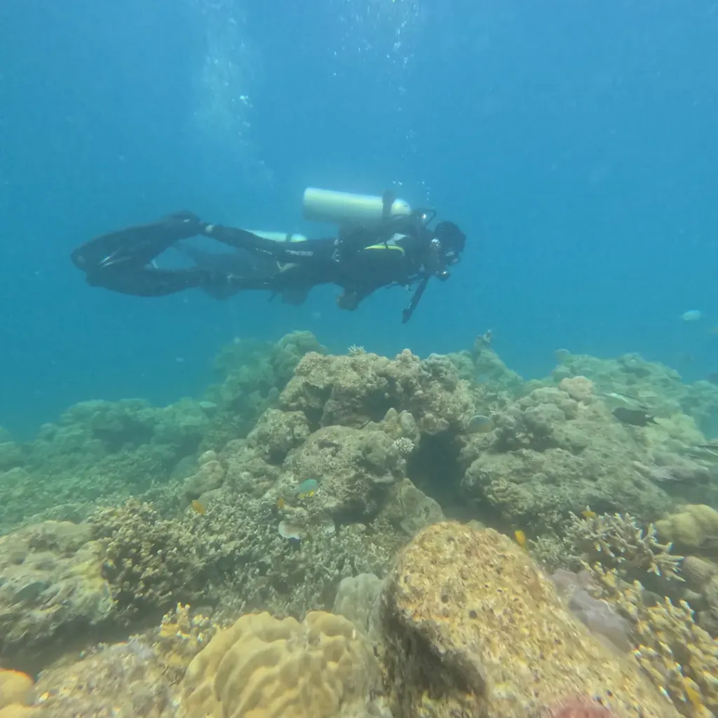 Two divers swimming over a coral head, fun diving in Havelock Island