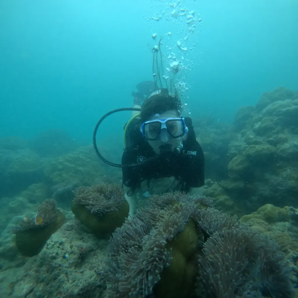 Diver behind an anemone on the reef, fun diving in Havelock Island