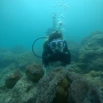 Diver behind an anemone on the reef, fun diving in Havelock Island
