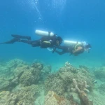 Two divers swimming side by side over the reef, fun diving in Havelock Island