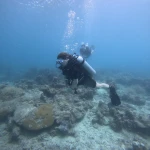 Diver swimming over the reef with another diver behind, fun diving in Havelock Island
