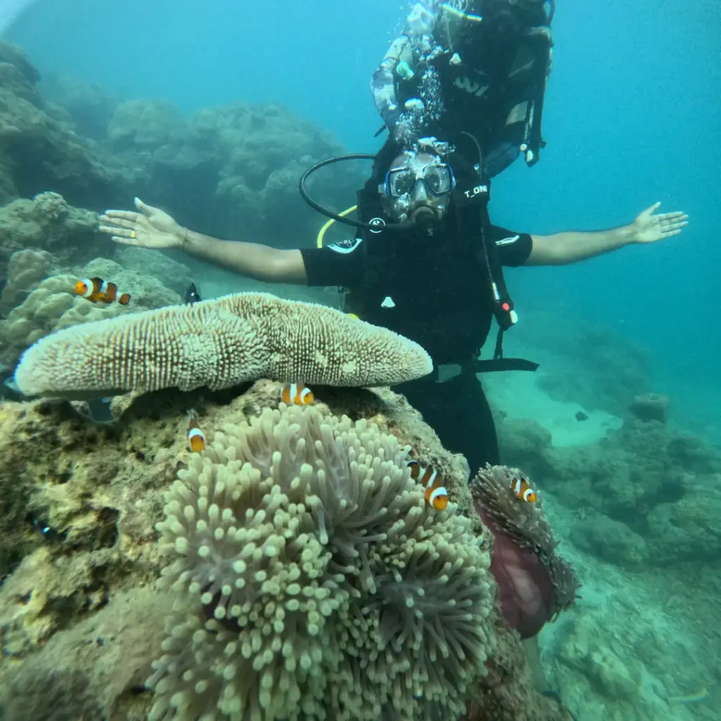 Diver with arms spread above a table coral and a clownfish anemone, Juvi's scuba diving, Havelock Island