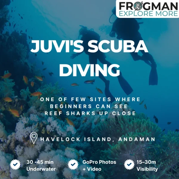Juvi's dive site - potato coral formations and white-tip reef shark, Havelock Island Andaman