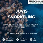 Juvis snorkeling tour in Havelock Island