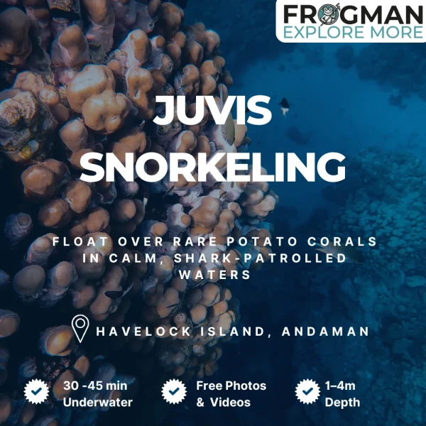 Juvis snorkeling tour in Havelock Island