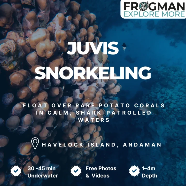 Juvis Snorkeling Havelock