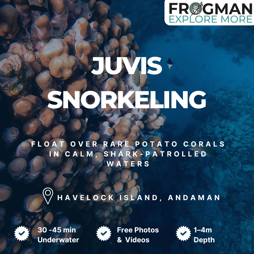 Juvis snorkeling tour in Havelock Island