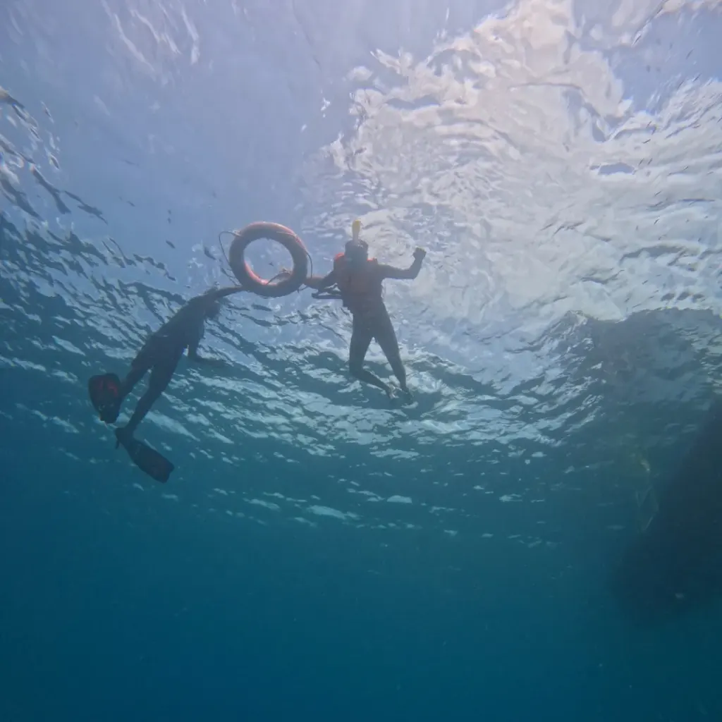 Snorkellers around the float ring, seen from below, snorkelling in Havelock Island