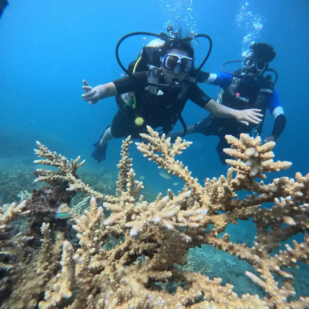 Diver and instructor above staghorn coral in blue water, Lighthouse scuba diving, Havelock Island