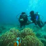 Diver and instructor above an anemone with a clownfish, Lighthouse scuba diving, Havelock Island