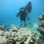 Diver and instructor above the reef with small blue fish around them, Lighthouse scuba diving, Havelock Island