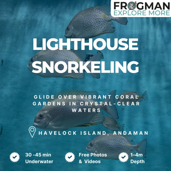 Lighthouse snorkeling tour in Havelock Island