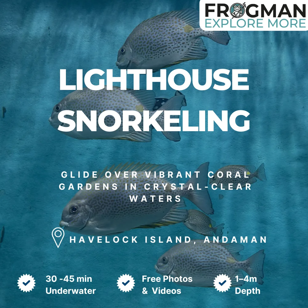 Lighthouse snorkeling tour in Havelock Island