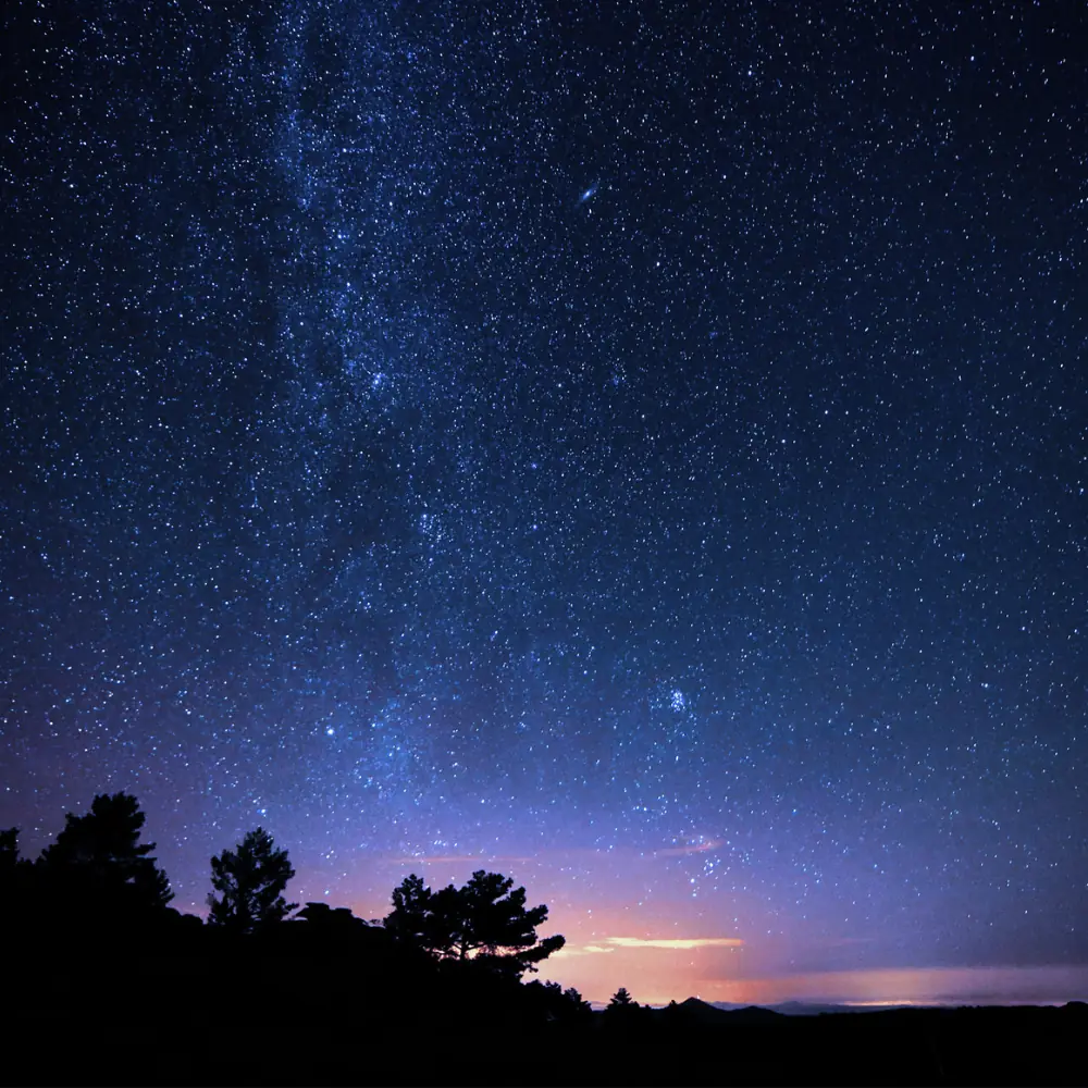 Stargazing — Frogman Adventures, Havelock Island
