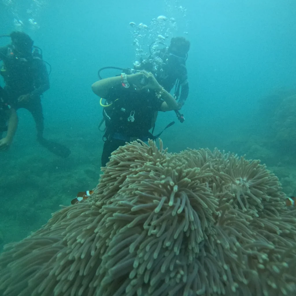Group of scuba divers above an anemone with clownfish at Nemo Beach, Havelock
