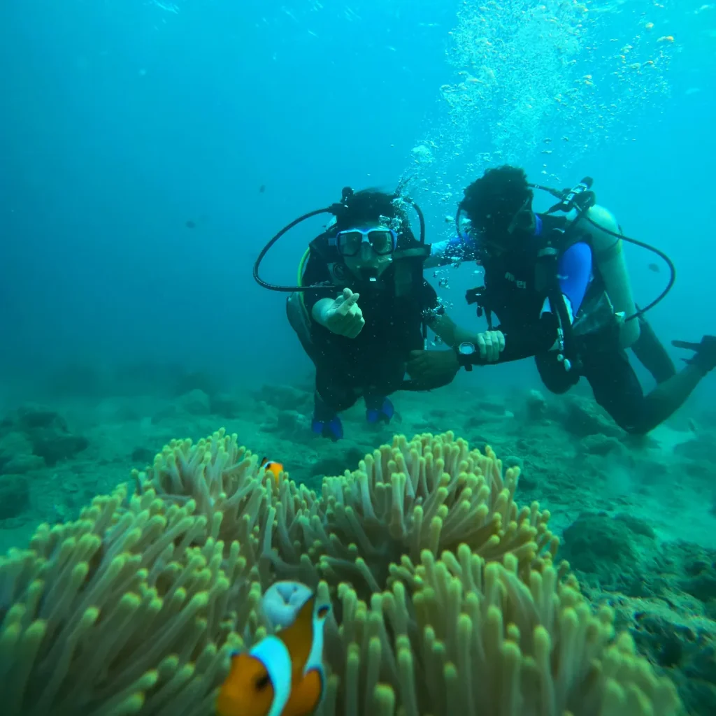 Two scuba divers at the Nemo Reef dive site in Havelock with clownfish in the anemone below them