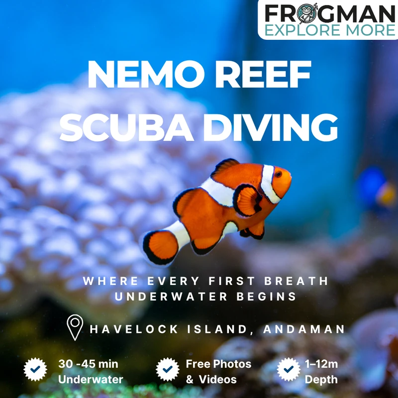 Nemo Reef scuba diving site at Beach No. 2, Havelock Island – calm shore dive Andaman
