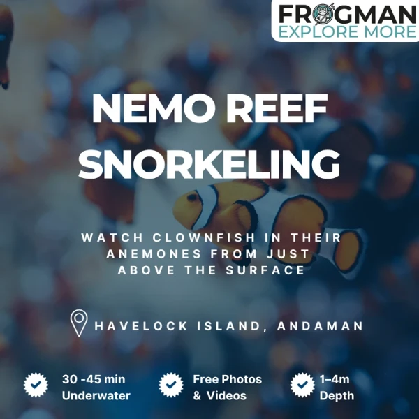 Nemo Reef snorkeling experience at Havelock Island, Andaman