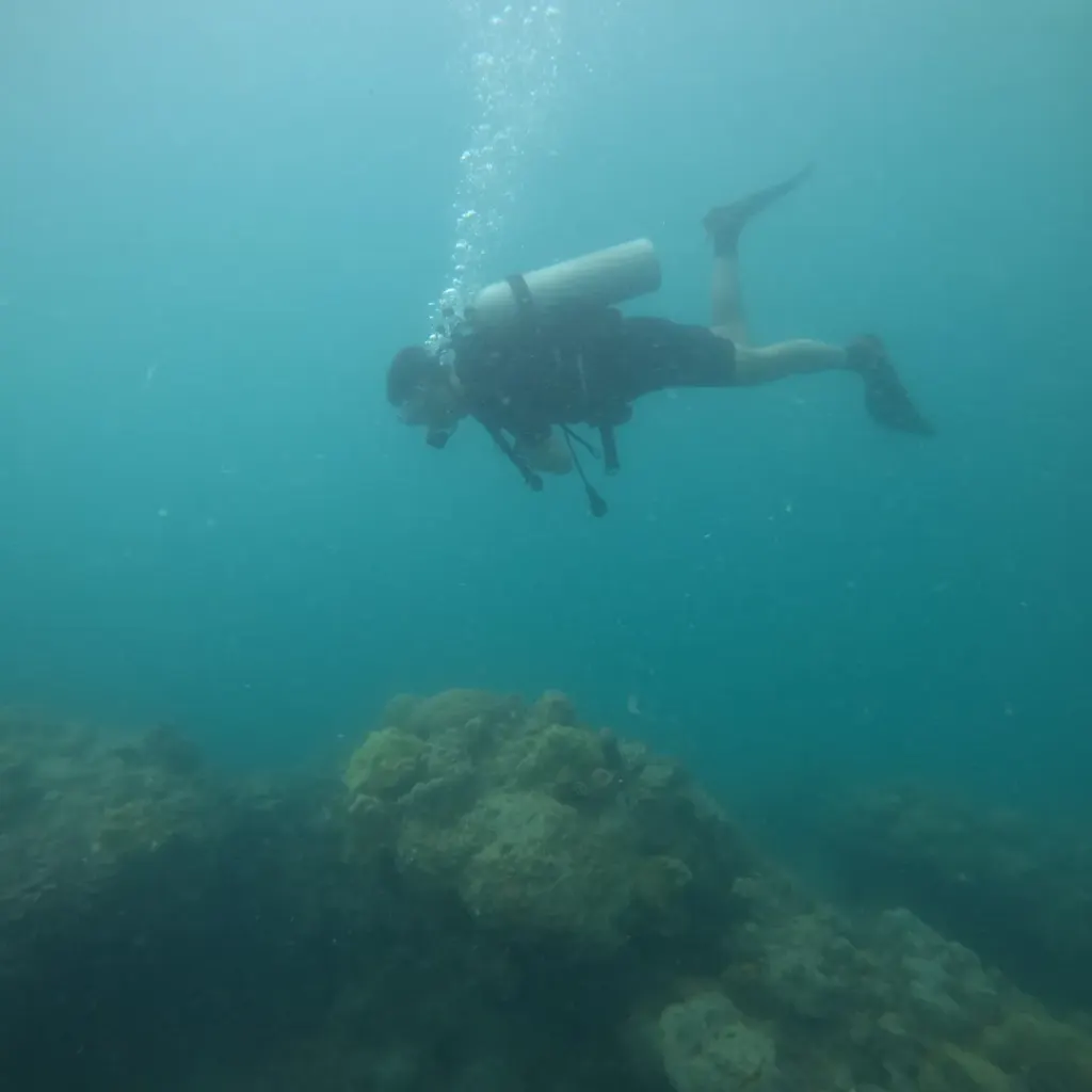 Diver swimming above the reef, Nitrox course in Havelock, Andaman